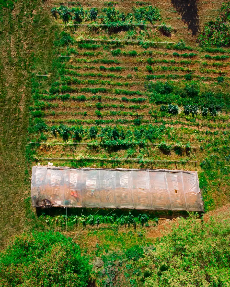 Vista aerea dell'Azienda San Felice nel Cilento