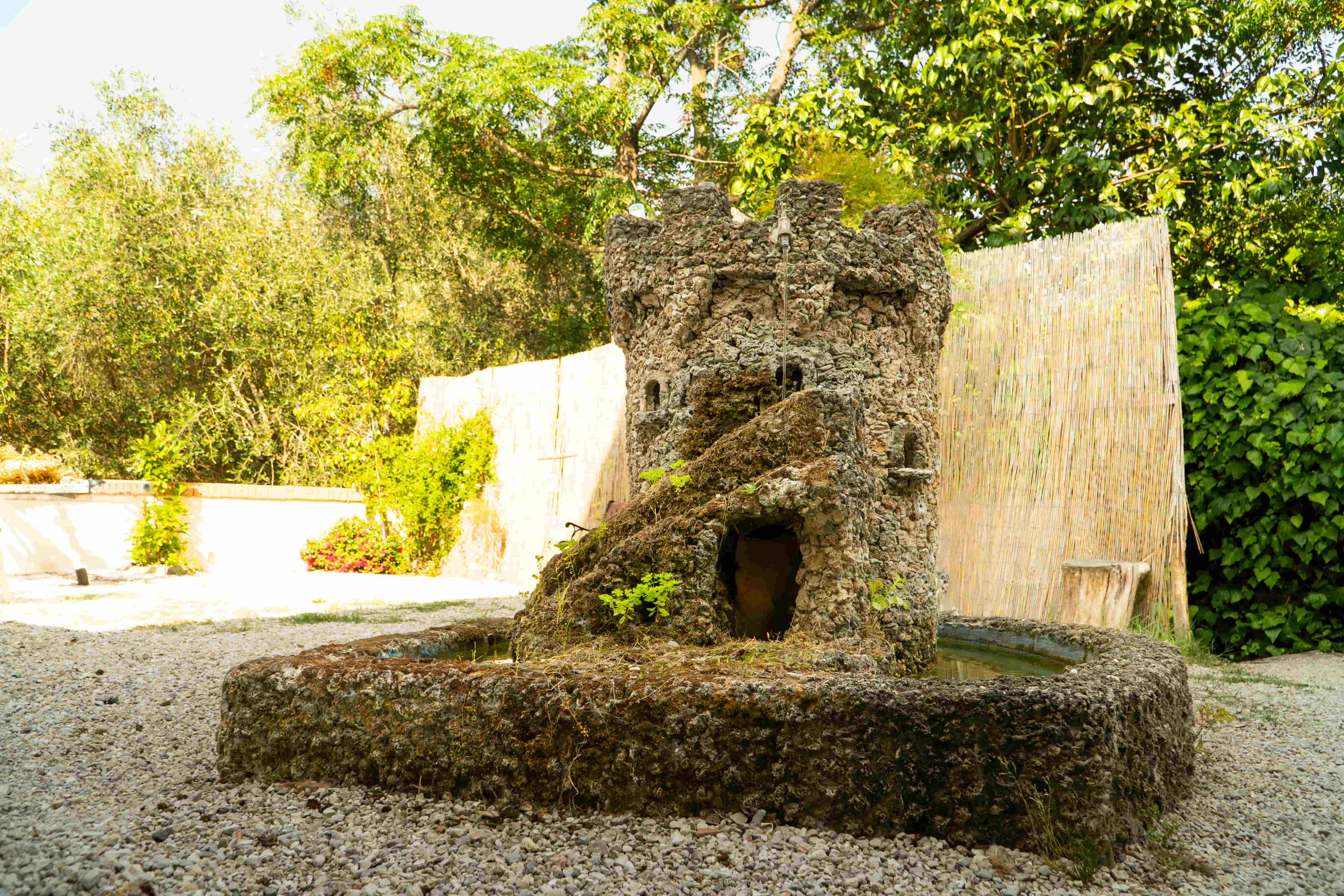 Fattoria Didattica - Bambini imparano l'agricoltura biologica