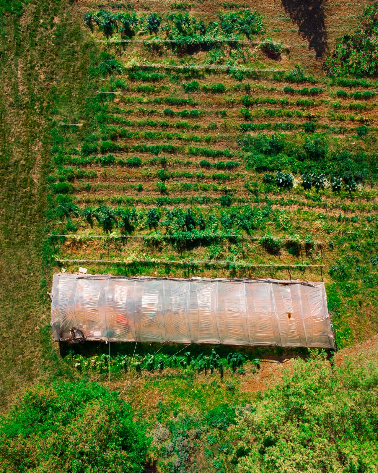 Fattoria Didattica San Felice - Bambini in visita